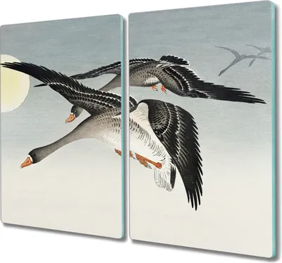 Produktbild von Coloray Herdabdeckplatte 2x30x52 cm Schneidebrett Kochplattenabdeckung Küchenbrett Hackbrett - Tiere Vögel Himmel Sonne