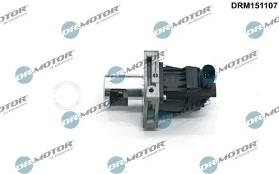 Produktbild von DR.MOTOR AUTOMOTIVE DRM151107 AGR-Ventil mit Dichtung für OPEL INSIGNIA Caravan Abgasrückführungsventil