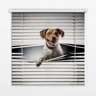 Produktbild von Seitenzug-Rollo Fensterrollo Jalousie - Thermo-Rollo Verdunkelungsrollo - 140x180 cm - Hund