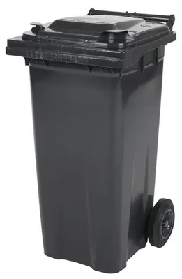Produktbild von Zweirad Müllgroßbehälter 120 Liter grau
