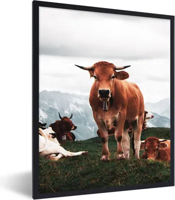 Produktbild von MuchoWow® Gerahmtes Poster Tiere - Kuh - Berg 60x80 cm - Poster mit Schwarzem Bilderrahmen Wandposter Rahmen Foto Bilder - Premium - Wanddeko Wohnzimmer