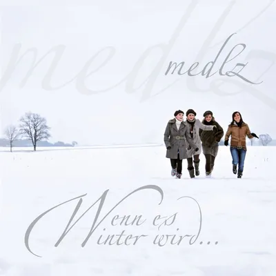 Produktbild von Medlz: Wenn es Winter wird...