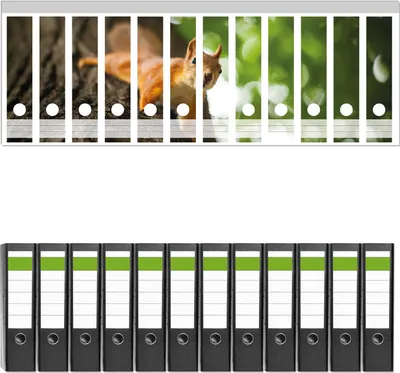 Produktbild von Wallario 12 Stück breite Ordner inkl. Klebeetiketten mit Motive Süßes neugieries Eichhörnchen an einem Baum -  Set mit Rückenschildern / Ordnerrücken Stickern