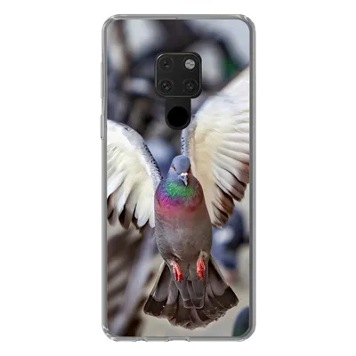Produktbild von MuchoWow® Handyhülle Schutzhülle Hülle für Huawei P40 Lite Nahaufnahme einer fliegenden Taube Silikon Softcase Handy Hülle - Handy