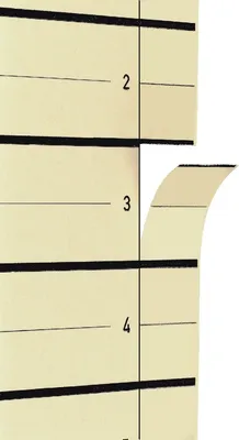 Image de PAGNA Intercalaire DIN A4 carton kraft beige 10 feuilles