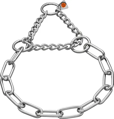 A metal dog chain collar on a white background.