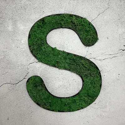 Produktbild von Islandmoos – Buchstabe S/Grasgrün