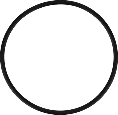 Produktbild von Pentek Dichtung 151121 O-Ring für Slim Line Filtergehäuse