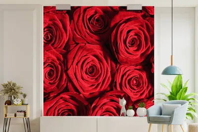 Produktbild von Fotobehang Roter Rosen - Roter Rosen - Rot - Breite 260 cm x Höhe 260 cm