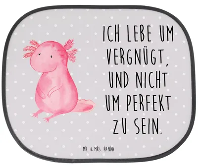 Produktbild von Mr. & Mrs. Panda Sonnenschutz Auto Axolotl Niedlich - Grau Pastell - Geschenk, Lebensweisheit, fenster, Liebe, Fürs, Weisheit, Freundin, Fröhlich, für, Sonnenblende