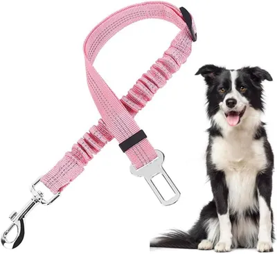 Produktbild von Verstellbarer Hundesicherheitsgurt aus Nylon mit reflektierenden Elementen