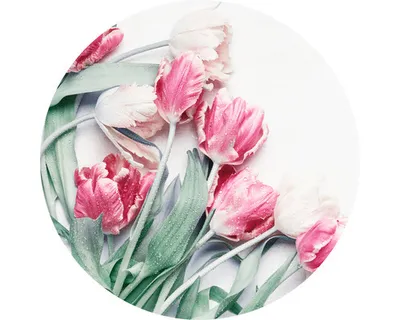 Produktbild von Glasbild Tulpen GLR063 Ø 50 cm