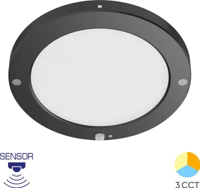Obrázok produktu pre Braytron LED stropné svietidlo s detektorom pohybu Svietidlo na schodisko Stropné svietidlo na chodbu 20W čierne