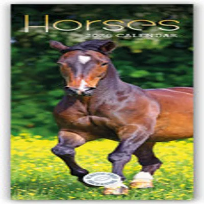 Produktbild von Horses - Pferde 2026 - Slimline-Kalender