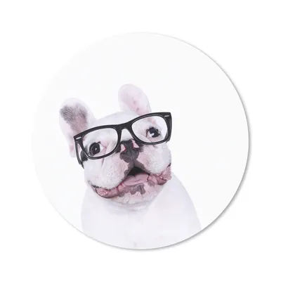 Produktbild von MuchoWow® Mauspad Mousepad Hund - Brille - Hipster 20x20 cm - Mousepads - Maus Mat - Pad - Mausunterlage - Schreibtischmatte