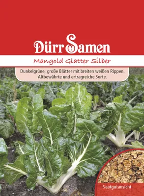 Artikelbild 1 von 'Mangold Glatter Silber' aus der Kategorie Mangoldsamen