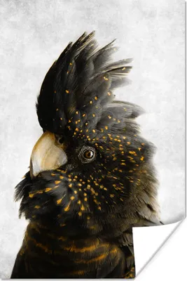 Produktbild von MuchoWow® Poster Kakadu - Vogel - Gold 120x180 cm - Kunstposter