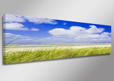 Produktbild von 5712 Leinwandbild Strandhafer Landschaft 120x40 cm