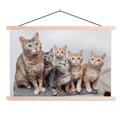 Produktbild von MuchoWow® Textilposter Katze - Kätzchen - Fell 60x40 cm mit holzfarbenen Rahmen - Bilder