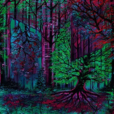 Produktbild von Absolution