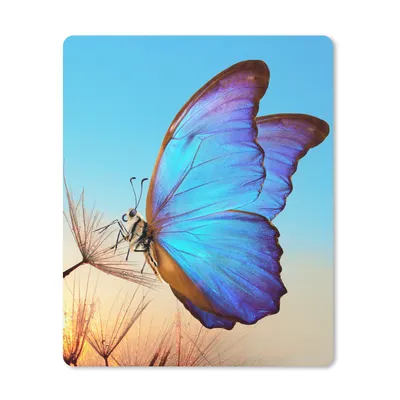 Produktbild von MuchoWow® Mauspad Mousepad Schmetterling - Löwenzahn - Blau 30x40 cm - Mousepads - Maus Mat - Pad - Mausunterlage - Mausmatten