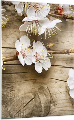 Produktbild von Bilder auf glas - Einteilig - Blume Stängel - 70x100cm - Glasbilder - Wandbilder - Bilder - zum Aufhängen bereit - Wanddekoration aus Glas - Glas Bilder - Wandbild auf Glas - GPA70x100-3537