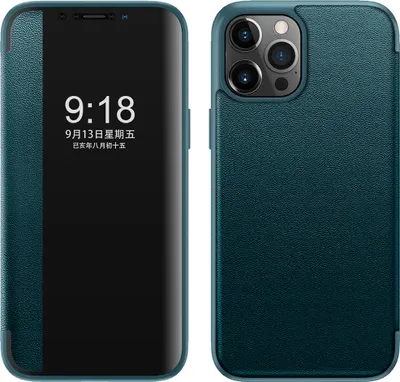 Image de Étui pour iPhone 13 Pro étui fin à rabat en cuirPolyuréthaneavec fenêtre d'affichage vert