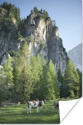 Produktbild von MuchoWow® Poster Kühe - Licht - Berg 20x30 cm - Papierdruck