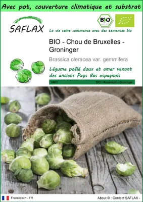 Image de SAFLAX Garden to go -- Chou de Bruxelles - Groninger - 30 graines - Brassica