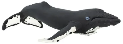 Produktbild von Safari Ltd Humpback Whale Sea Life Figur Schwarz From 3 Years Schwarz From 3 Years