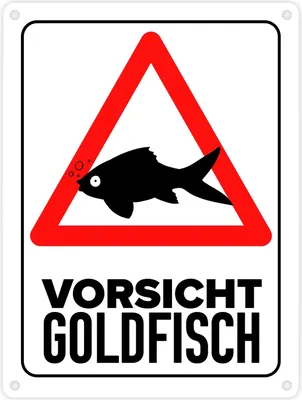 Produktbild von Vorsicht Goldfisch Metallschild in 15x20 cm mit Goldfisch Silhouette