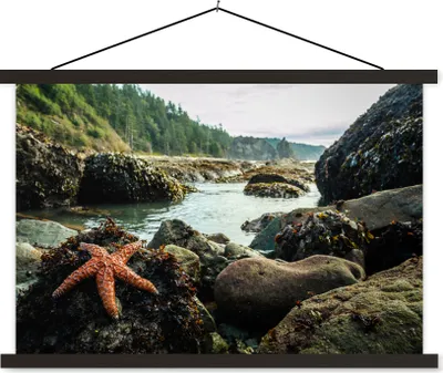 Produktbild von MuchoWow® Textilposter Meer - Steine - Seesterne 60x40 cm mit schwarzem Rahmen - Hölzernes