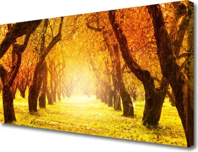 Produktbild von Tulup Leinwand-Bilder 100x50 Wandbild Canvas Kunstdruck Wald Fußpfad Natur