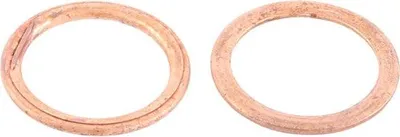 Immagine prodotto di Guarnizione, tubo di scarico WINDEROSA W823006