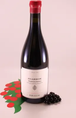 Produktbild von Teroldego Sgarzon - 2023 - Foradori