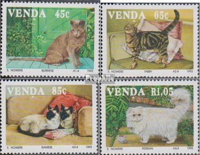 Produktbild von Briefmarken Südafrika - Venda 1993 Mi 250-253 (kompl.Ausg.) FDC Hauskatzen