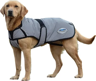 Obrázek produktu pro Weatherbeeta - Bunda pro psy "Comfitec", reflexní WB1818 (25 cm) (stříbrná)