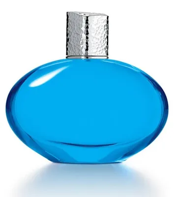 Produktbild von Elizabeth Arden Mediterranean Eau De Parfum Spray 100ml