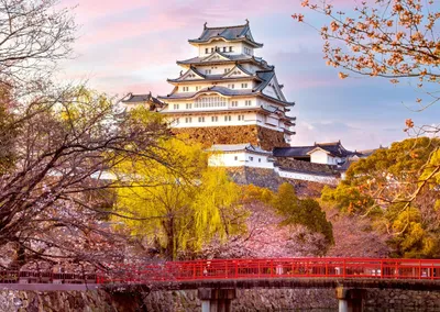 Immagine prodotto di Ravensburger, puzzle del castello di Himeji, Giappone - puzzle da 1000 pezzi per adulti