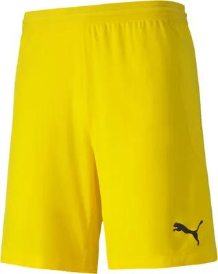 Produktbild von Puma Teamfinal 21 Knit Shorts 70425707 Herren