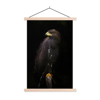 Produktbild von MuchoWow® Textilposter Adler - Tier - Braun 60x90 cm mit holzfarbenen Rahmen - Textil