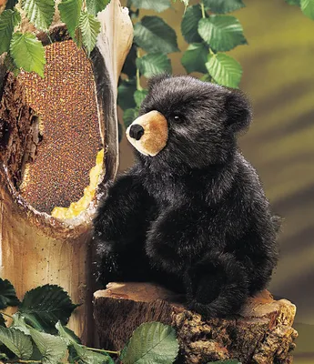 Produktbild von Folkmanis Handpuppe Bär 20 cm