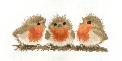 Obrázek produktu pro Heritage cross stitch set Aida "Ruffles-Red Robin (A)", počítaný vzor, VPRR1661-A, 17x7cm