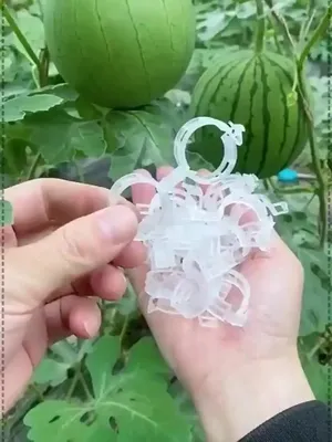 Produktbild von Wiederverwendbare Pflanzenstützclips aus Kunststoff