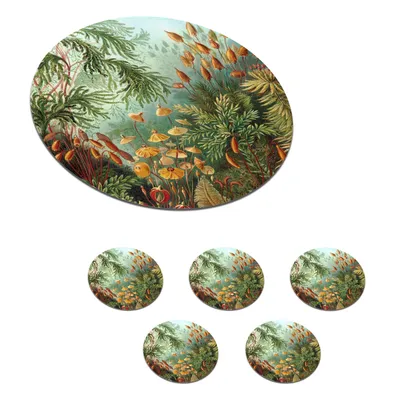 Obrázek produktu pro KitchenYeah® Skleněné podtácky kulaté sada 6 Muscinae - Ernst Haeckel - Rostliny 10x10 cm Podtácky na sklenice - Podtácky na nápoje - Chrániče stolů - Podtácky na šálky Stolní barové sklo
