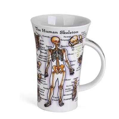 Produktbild von Dunoon Becher Glencoe The Human Body
