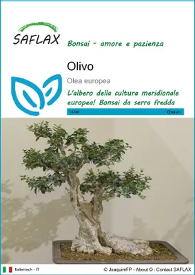 Immagine prodotto di SAFLAX  - Olivo - 20 semi - Olea