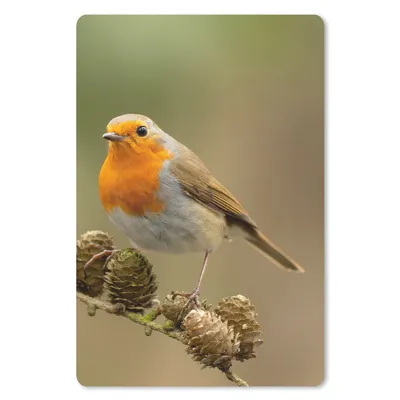 Produktbild von MuchoWow® Mauspad Mousepad Vogel - Rotkehlchen - Tannenzapfen - Zweig - Herbst 18x27 cm - Mousepads - Maus Mat - Pad - Mausunterlage