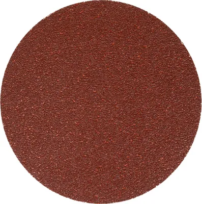 Immagine prodotto di EIBENSTOCK Schleifscheibe P24 Ø 300 mm für EPG 300 A