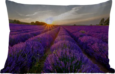 Produktbild von MuchoWow® Outdoor Kissen - Lavendel - Blumen - Sonnenuntergang - Lila - 50x30 cm - Wetterfest - Lounge Kissen - Sofa kissen - Wohnzimmer Dekoration